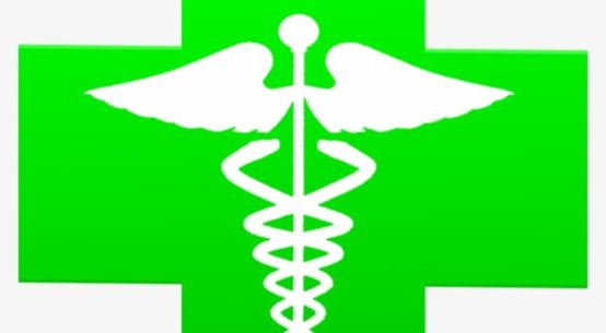 A green cross with a doctor's staff with snakes