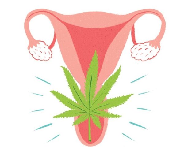 A cartoon drawing of a uterus has a cannabis leaf superimposed